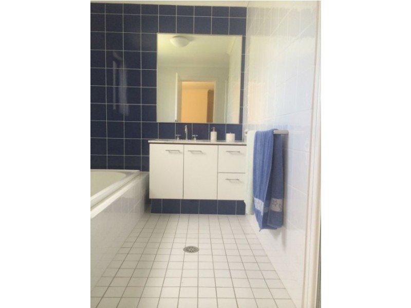 6 Sandpiper Crescent, Newington NSW 2127