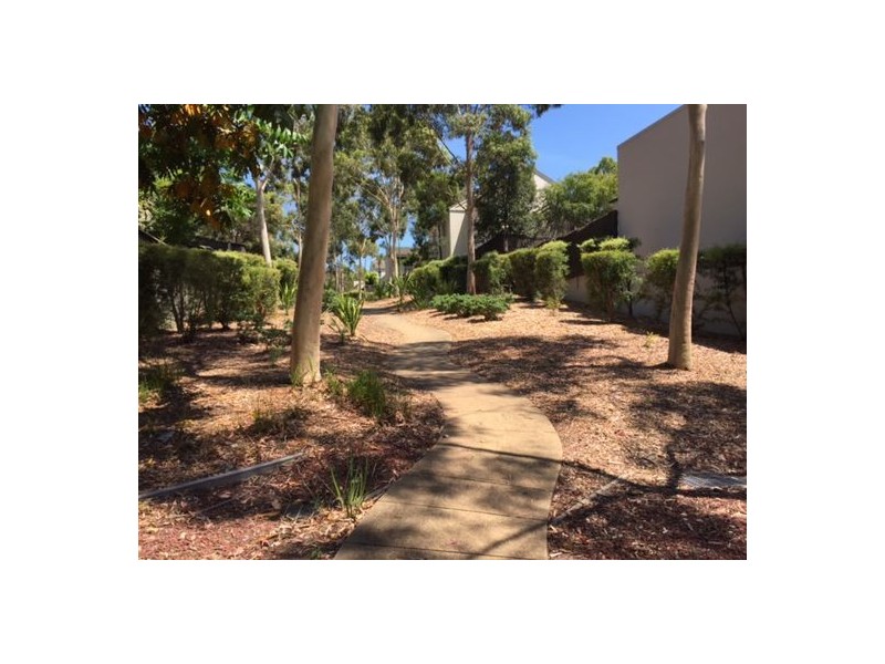 21/17 Pearce Avenue, Newington NSW 2127