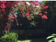 36 Spitz Avenue, Newington NSW 2127