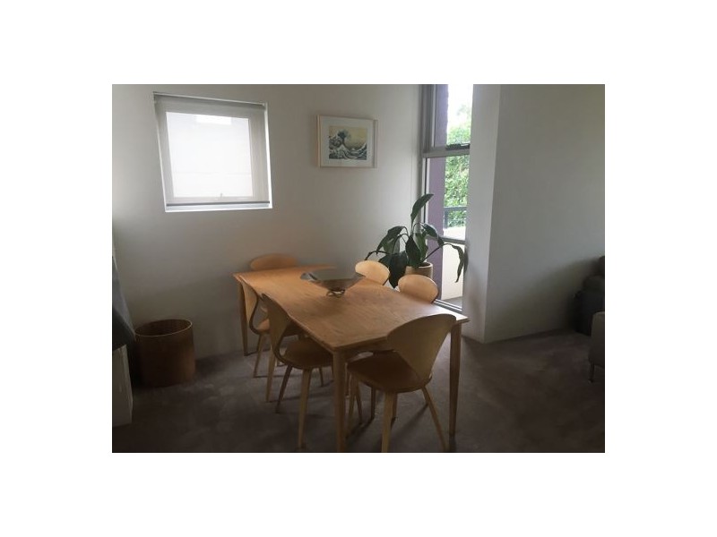 16/5 Sandpiper Crescent, Newington NSW 2127