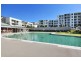429/43 Amalfi Drive, Wentworth Point NSW 2127