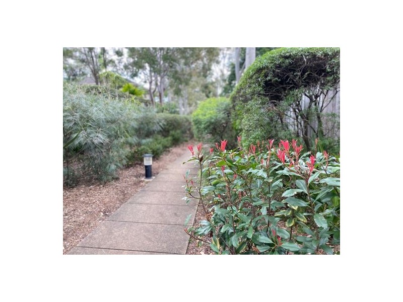 10 Curlew Avenue, Newington NSW 2127