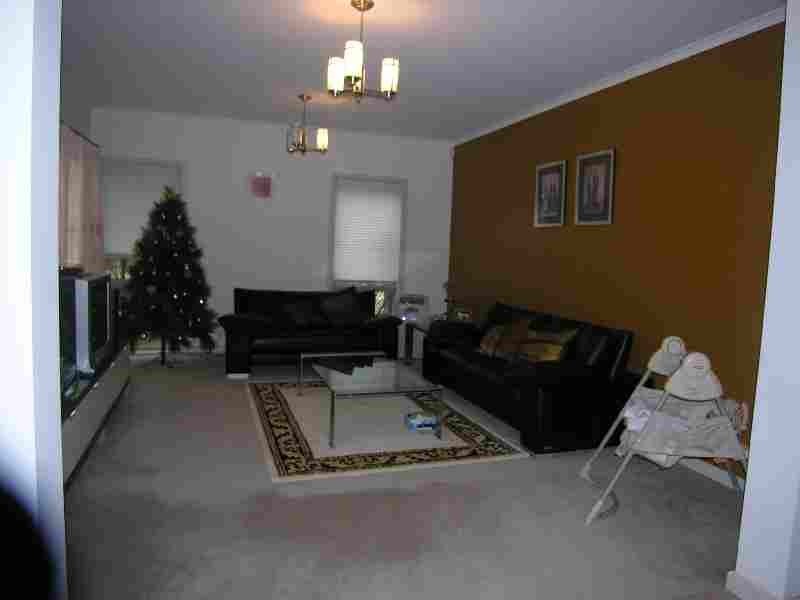 20  Owens Avenue, Newington NSW 2127