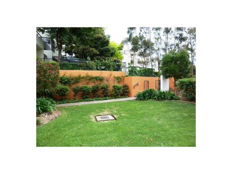 1/17 Blaxland Avenue, Newington NSW 2127