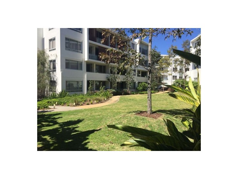 A111/6 Avenue of Oceania, Newington NSW 2127
