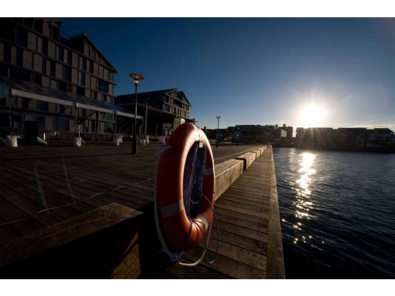 L3/56A Pirrama Road, Pyrmont NSW 2009