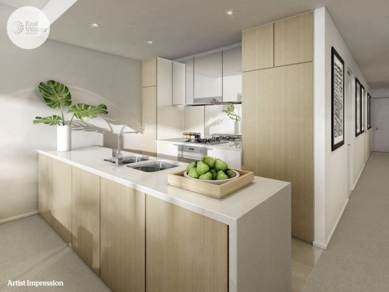 1/2 Defries Avenue, Zetland NSW 2017