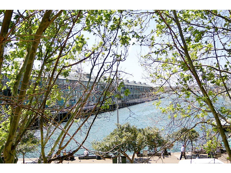 5/57 Cowper Wharf Road, Woolloomooloo NSW 2011