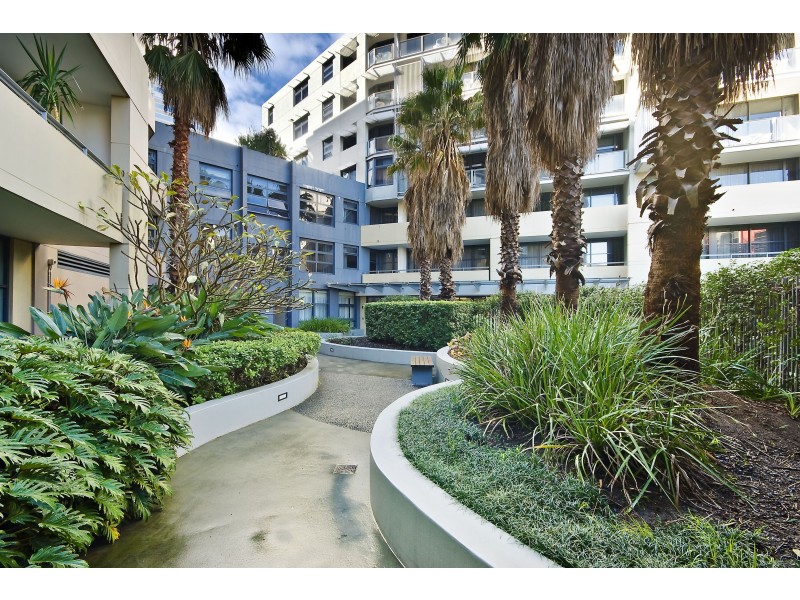 317/49 Shelley Street, Sydney NSW 2000