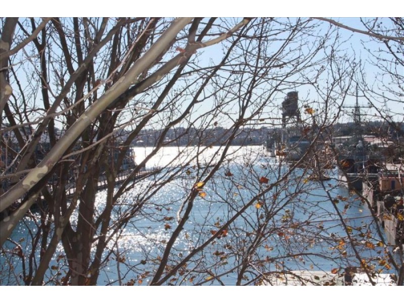 14/57 Cowper Wharf rd, Woolloomooloo NSW 2011