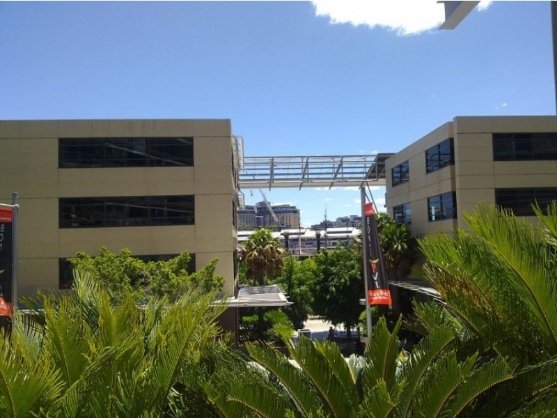 911/23 Shelley Street, Sydney NSW 2000