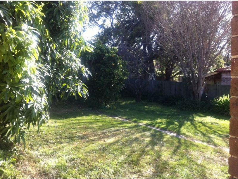 44 Kingston Street, Haberfield NSW 2045