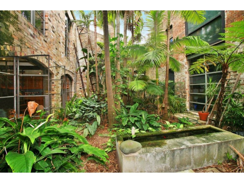 24 Taylor Street, Darlinghurst NSW 2010
