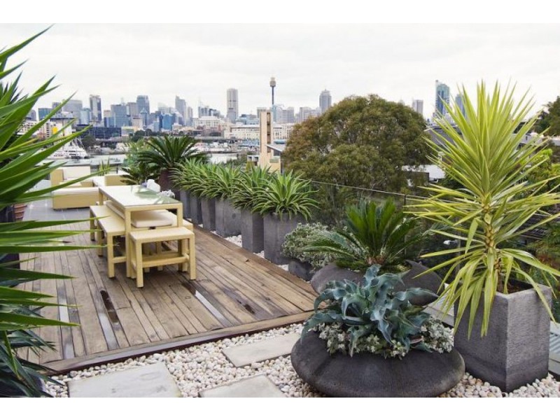 316/14 Griffin Place, Glebe NSW 2037