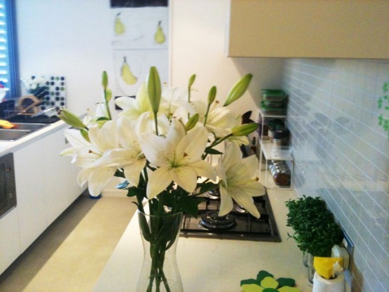 B6.05/1 Jack Brabham Drive, Hurstville NSW 2220