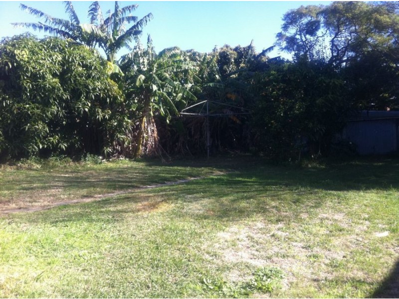 44 Kingston Street, Haberfield NSW 2045