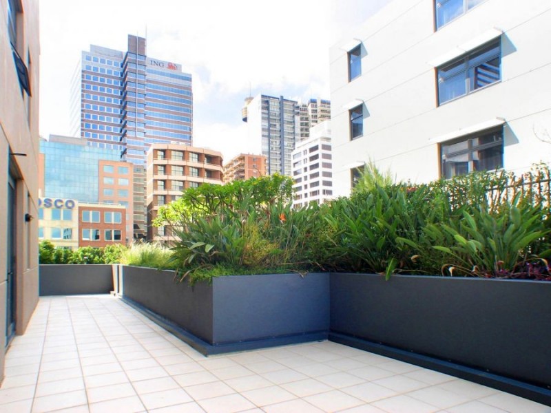 45 Shelley Street, Sydney NSW 2000