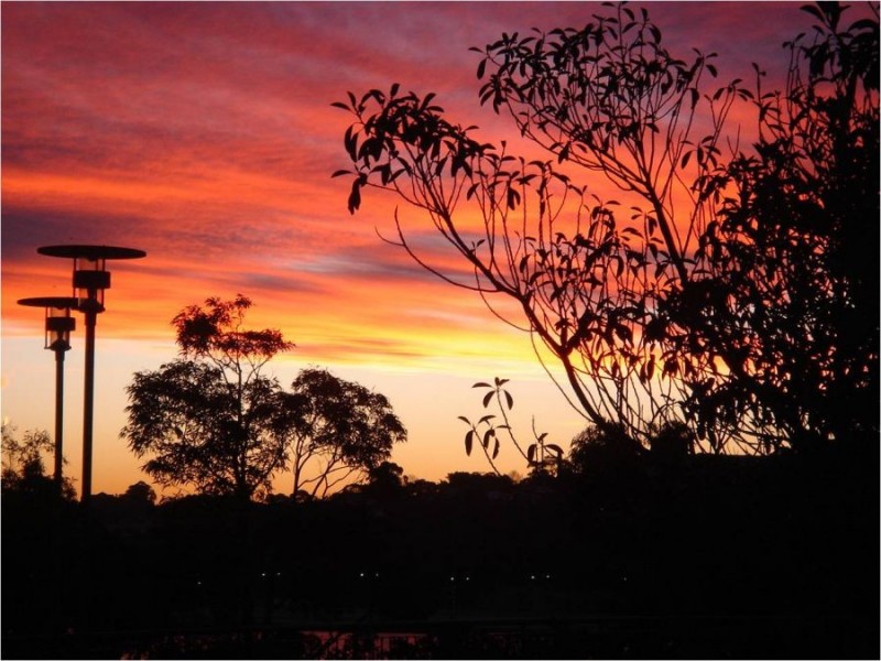 206/2 Point Street, Pyrmont NSW 2009