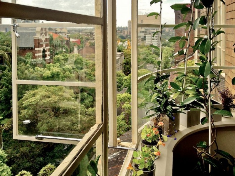 61/347 Liverpool Street, Darlinghurst NSW 2010