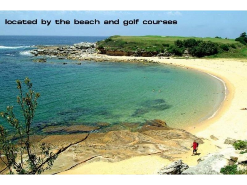 309/2 Pine Avenue, Little Bay NSW 2036