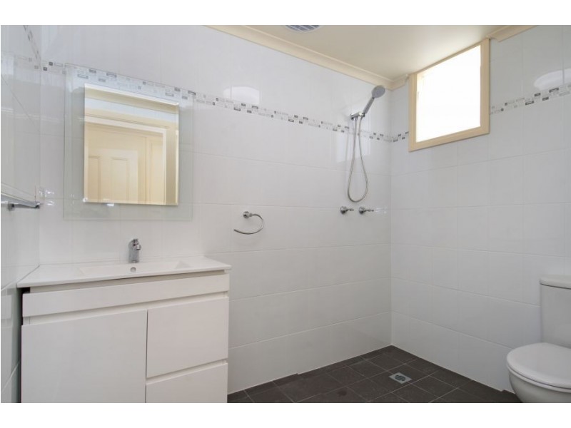 100A Nelson Street, Annandale NSW 2038