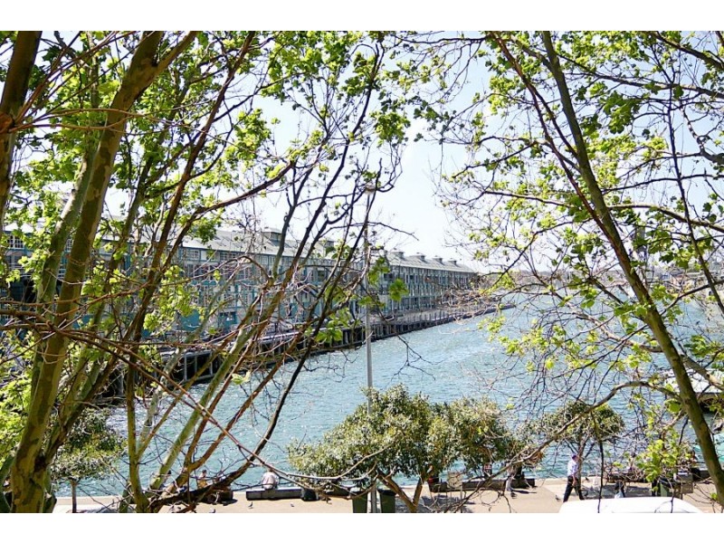 5/57 Cowper Wharf Road, Woolloomooloo NSW 2011