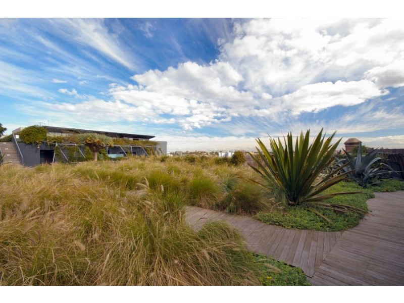 603/320-380 Harris Street, Pyrmont NSW 2009