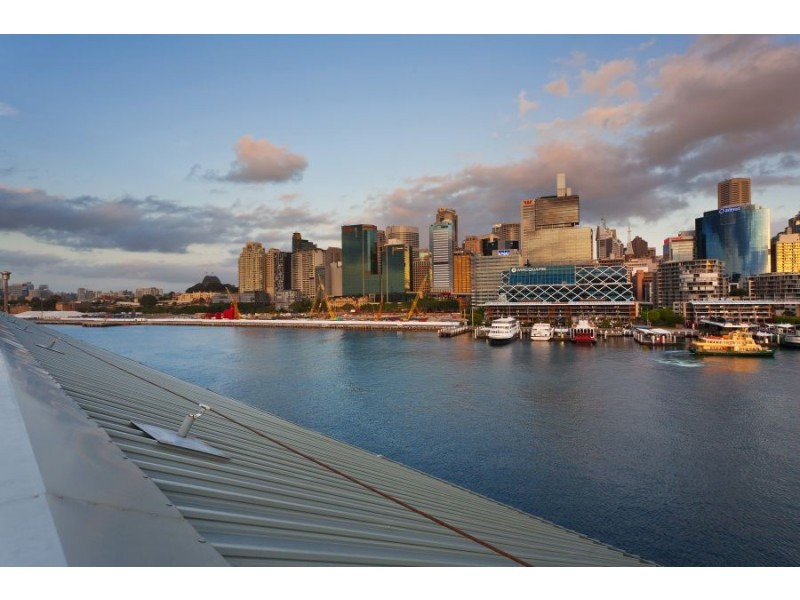 14/56A Pirrama Road, Pyrmont NSW 2009