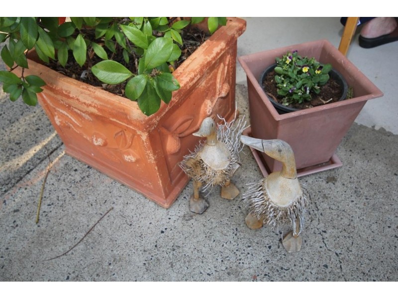 13 Caribou Drive, Brassall QLD 4305