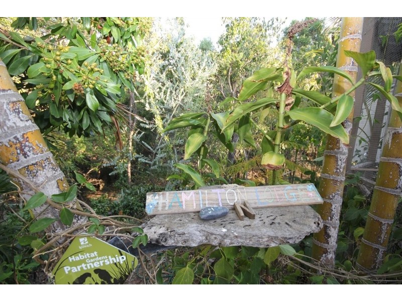 13 Caribou Drive, Brassall QLD 4305