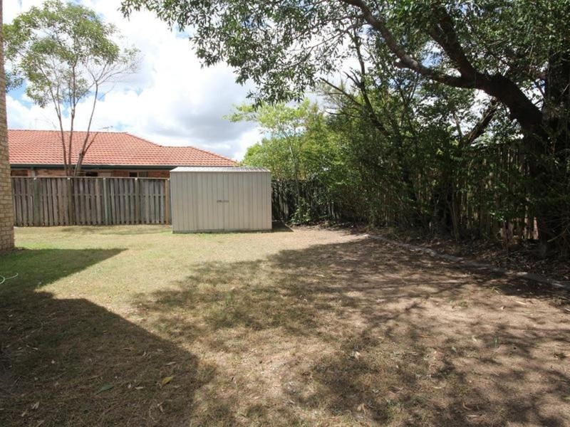 3 Hicklin Street, Springfield QLD 4300