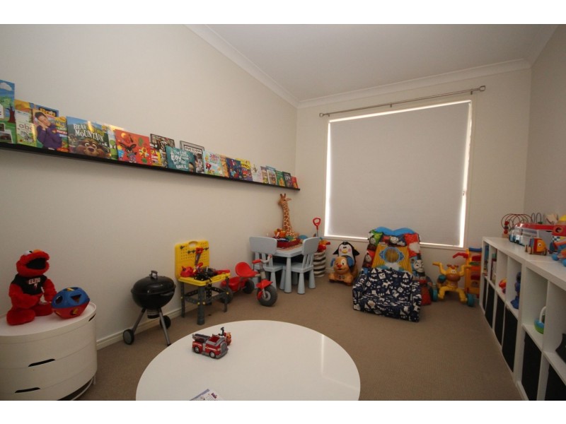 236 LAKESIDE AVENUE, Springfield Lakes QLD 4300