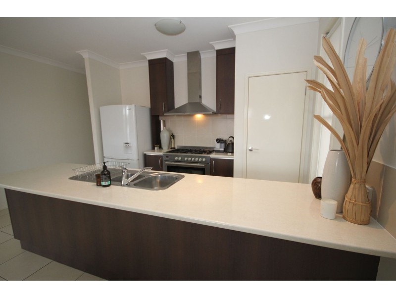 236 LAKESIDE AVENUE, Springfield Lakes QLD 4300