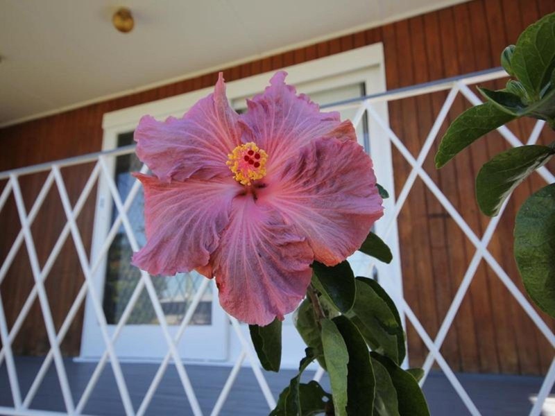 23 Raceview Street, Eastern Heights QLD 4305