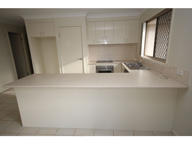 17 Opossum Circuit, Springfield Lakes QLD 4300