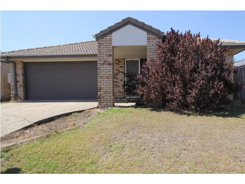 41 Collins Street, Collingwood Park QLD 4301