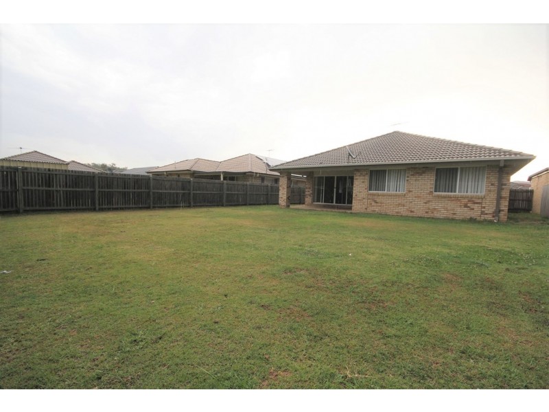 41 Collins Street, Collingwood Park QLD 4301