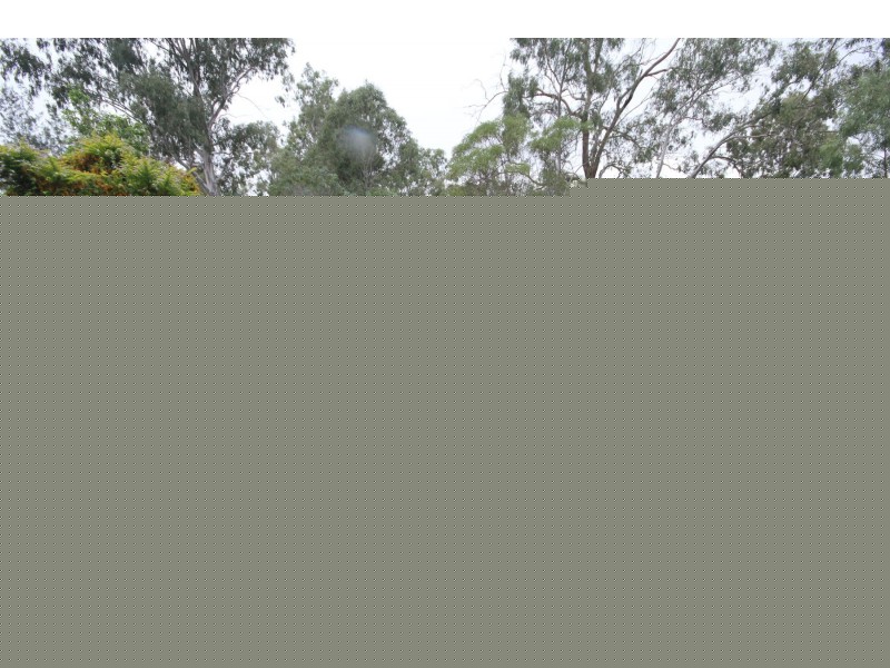 37 Palma Rosa Drive, Wulkuraka QLD 4305