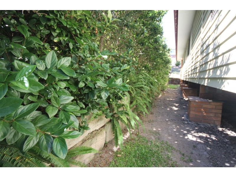 24 Ormond Road, Oxley QLD 4075