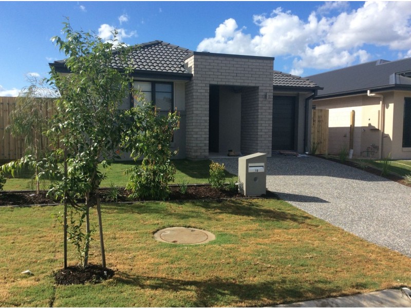 10 Magee Street, Ripley QLD 4306