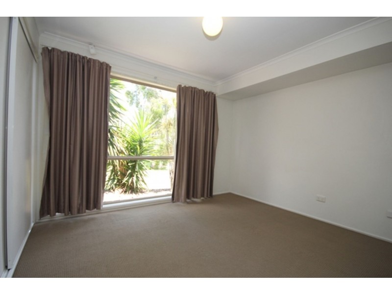 5 Windflower Place, Springfield QLD 4300