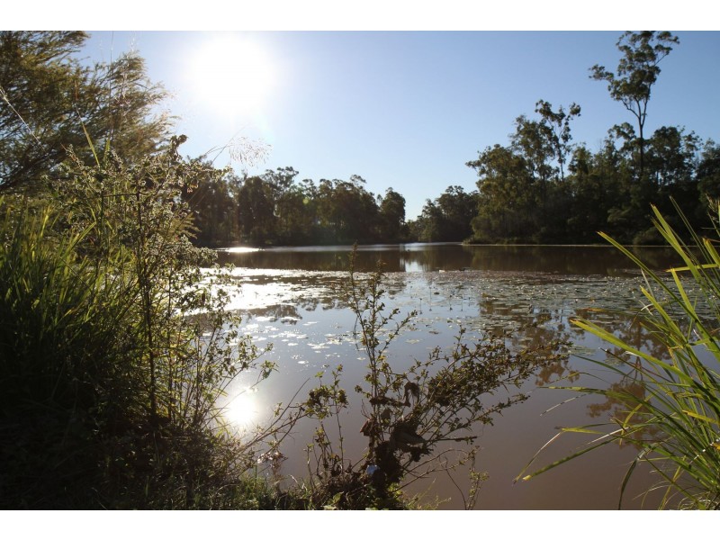 36 Daydream Crescent, Springfield Lakes QLD 4300
