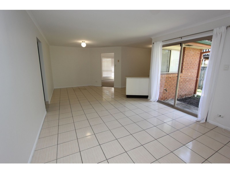 81 Borden Street, Sherwood QLD 4075