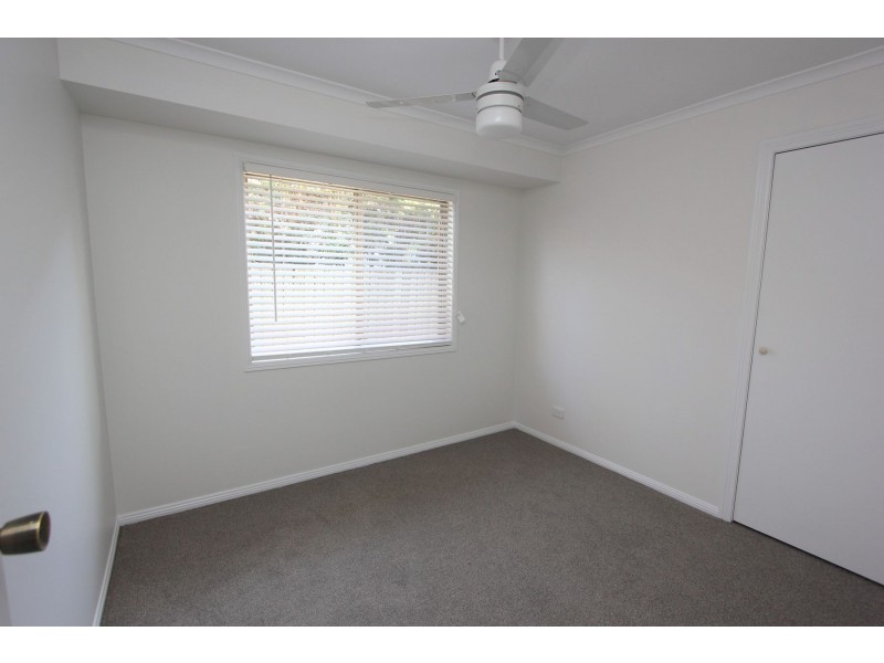 81 Borden Street, Sherwood QLD 4075