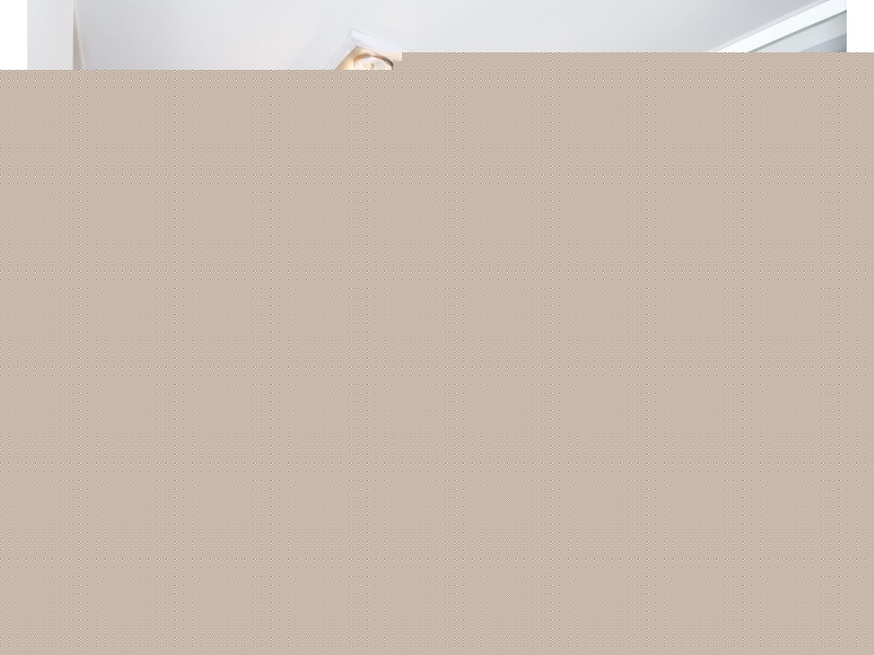 11 Waxberry Court, Redbank Plains QLD 4301