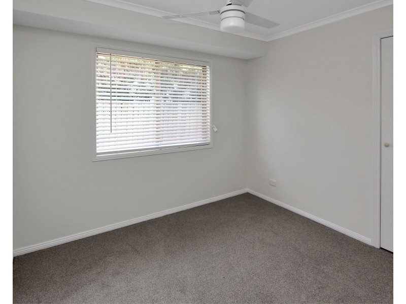 81 Borden Street, Sherwood QLD 4075