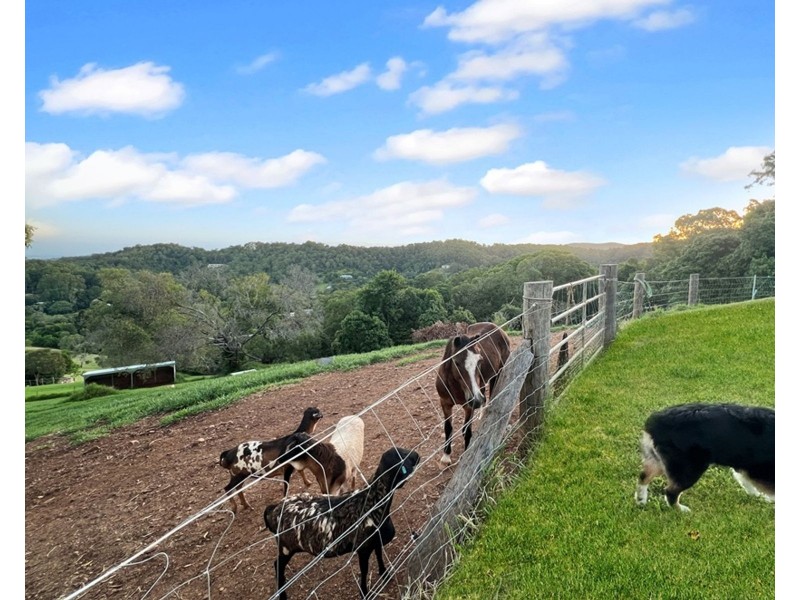 11/463 Gold Creek Road, Brookfield QLD 4069