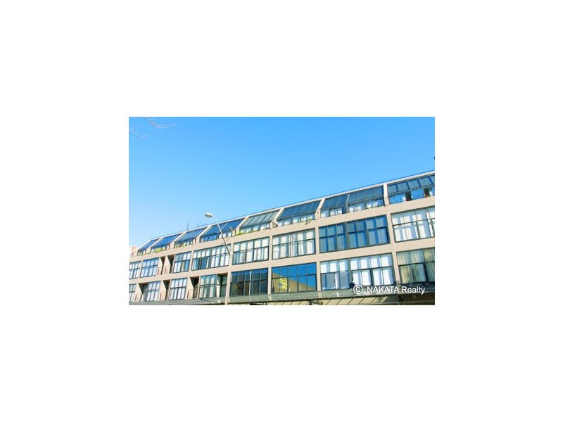 420 Pacific Hwy, St Leonards NSW 2065