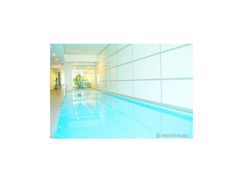 55 Lavender Street, Lavender Bay NSW 2060