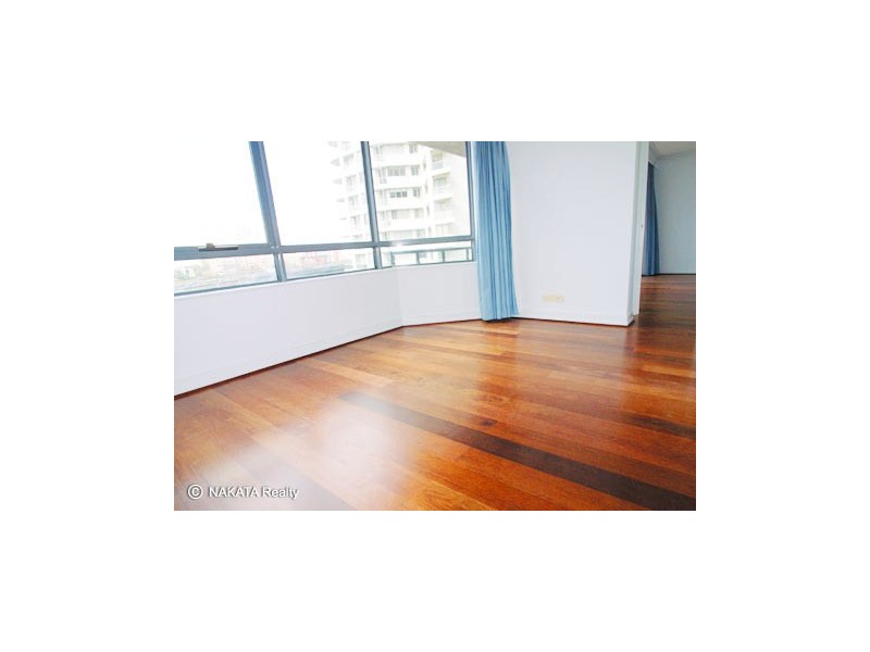 48 Alfred St, Milsons Point NSW 2061